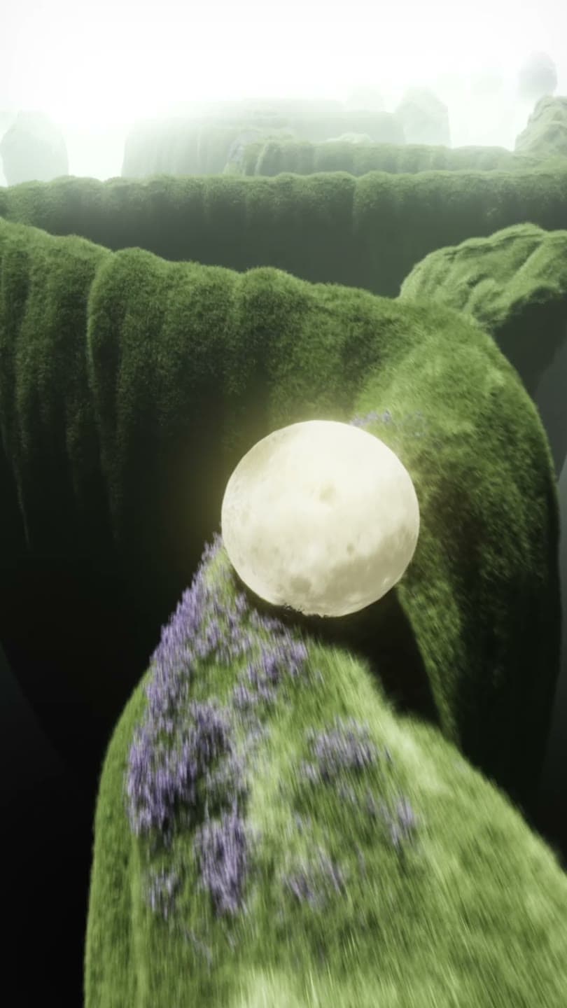 Moss & Moon — Dreamscape / Nature film still
